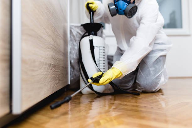 Best Wasp Removal Services  in Garfield, NJ