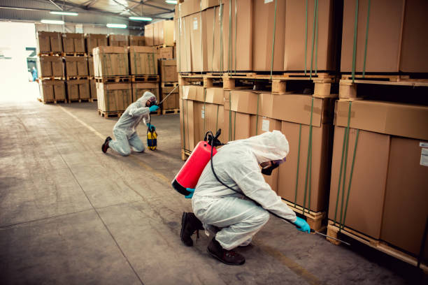 Best Affordable Pest Control Services  in Garfield, NJ
