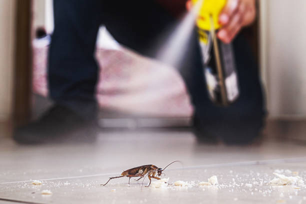 Pest Control Cost in Garfield, NJ