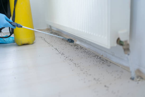 Best Wildlife Control Services  in Garfield, NJ