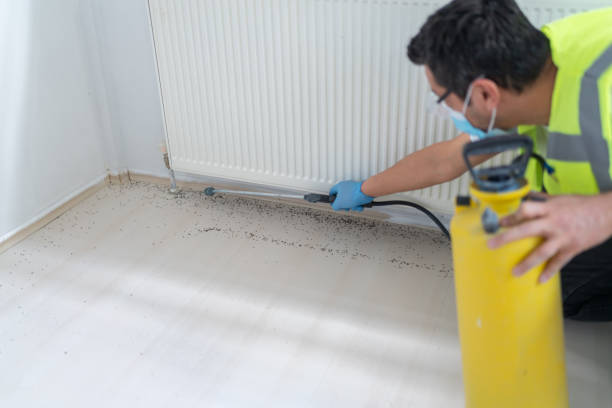 Best Pest Removal Services  in Garfield, NJ