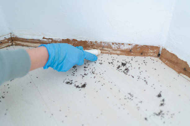 Best Pest Prevention Services  in Garfield, NJ